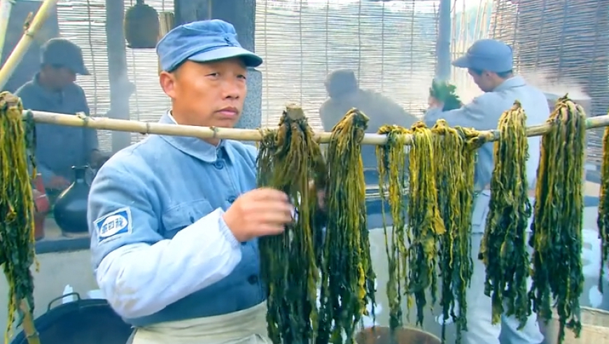 沙漠戈壁惊现千亩杏花海,2025新澳门管家婆正版资料,成语解释落实可能存在的问题_极速版V15.11