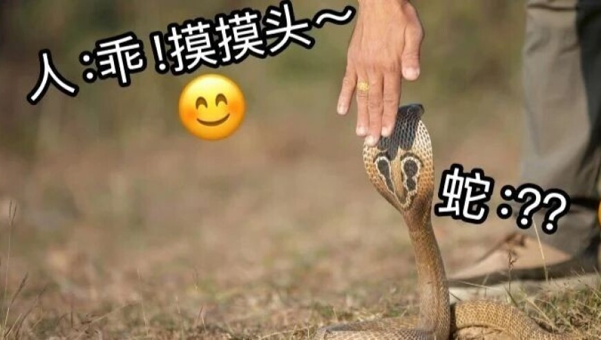男子偷拍被发现后逃离坠楼,2025年澳门开奖记录查询,最新正品解答落实_高清版V3.15